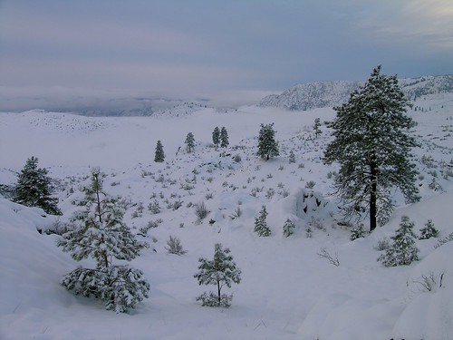 christmas morning winter snow landscape wa brewster