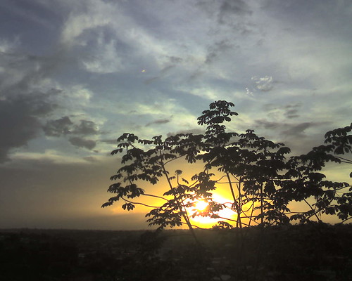 cameraphone sunset pordosol sky sol céu cx75