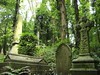 Reaching for the Skies, Highgate Cemetery by bixentro