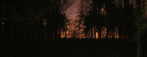 trees sunset sun forest germany deutschland sonnenuntergang franconia franken sonne behringersdorf