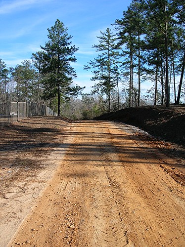 road trees country alabama dirt brantley