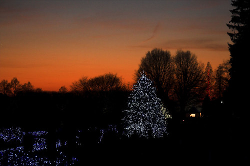 christmas sky holiday night unitedstates pennsylvania events scenic favorites places longwoodgardens sunsetsunrise score35 holidaylighting