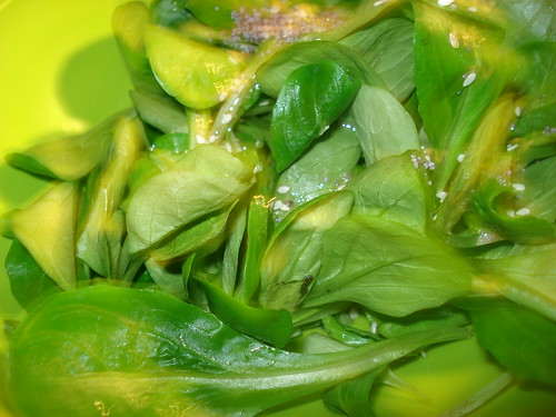Salade de mâche © bloggy boulga / Flickr CC.