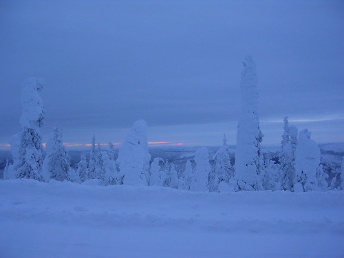 snow alaska sunrise arctic vegetation tundra vlk daltonhwy