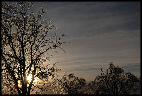 trees ice sunrise nikon d70 kansas