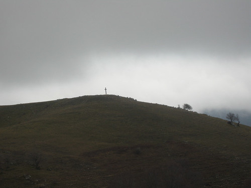 trees fog clouds hiking lonelytree abruzzo pereto
