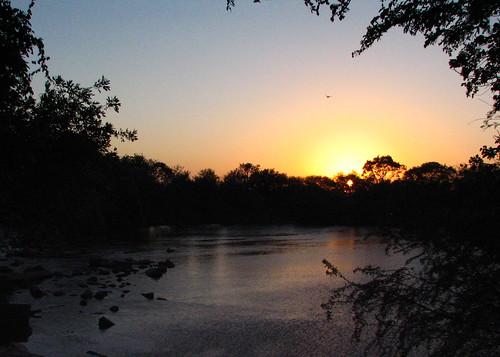 sunset bird water river rocks texas dusk nuecesriver labontepark nuecesriverpark