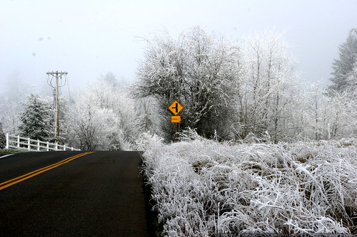 cornell road in the frost zone    MG 7152