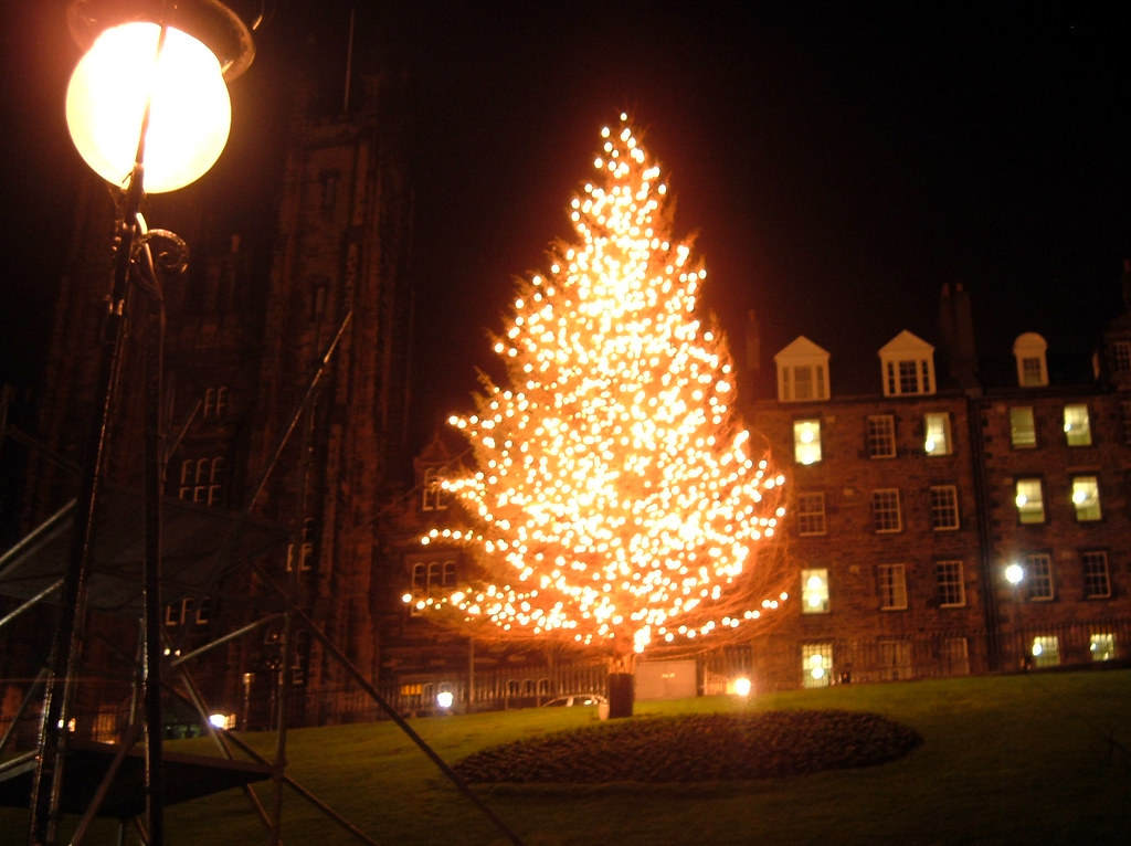Edinburgh's tree
