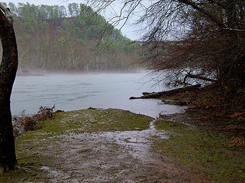 trees storm water rain fog river georgia etowah cartersville