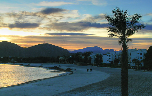 sunset sea sky people españa mountains tree sol beach silhouette clouds port puerto mar spain sand playa palm arena mallorca majorca alcudia alcúdia tygerlyl