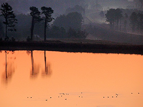 mountain lake reflection water sunrise georgia geese cartersville