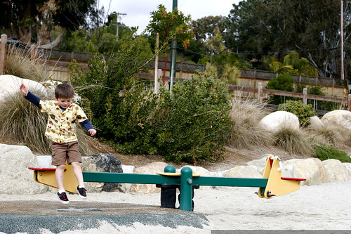 seesaw diving    MG 0268