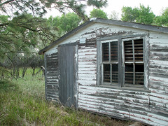Abandoned Chicken Coop