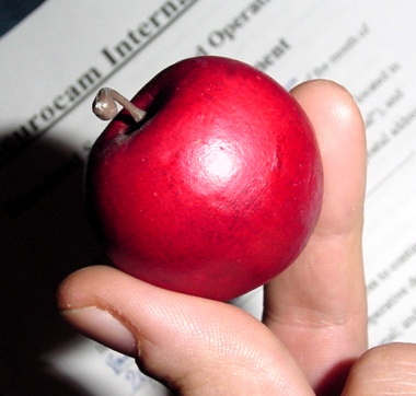 Neurocam apple