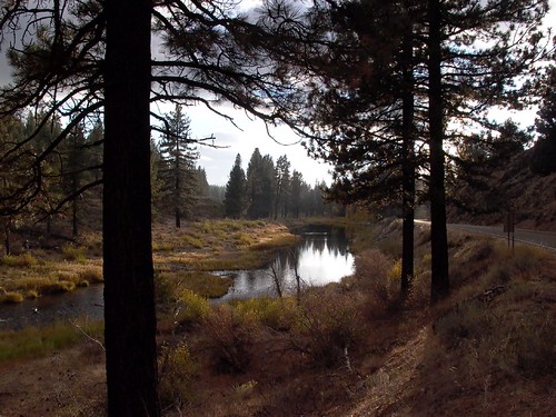 california railroad trees water train river landscape lumix roadtrip 395 portola naturalframes pdpnw
