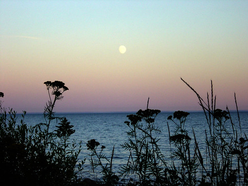 flowers sunset moon lake fall minnesota silhouette point cove superior lodge rise naturesfinest naturessilhouettes allensphotography