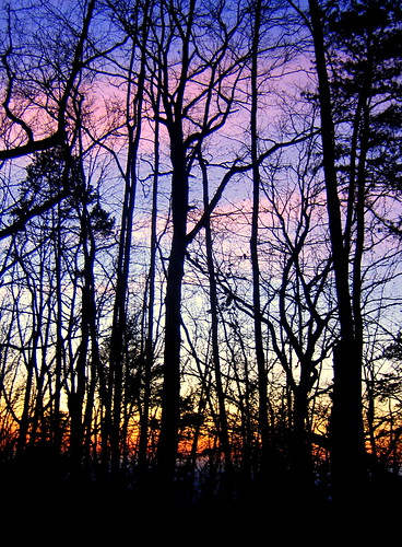 sunset sun mike me scott tim knoxville hiking tennessee hike vista hikers housemountain theparadigmshifter