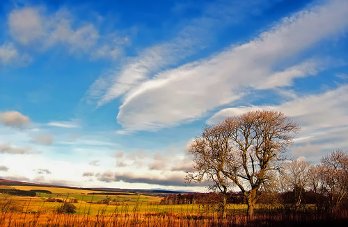 sky tree field clouds landscape scotland scenery stirling scenic breathtaking