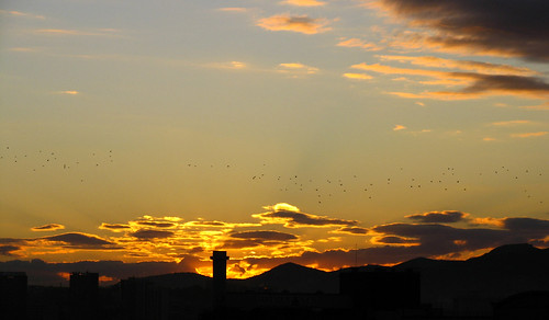 france saint birds clouds sunrise louis soleil marseille factory sugar nuages usine oiseaux lever cheminée sucres