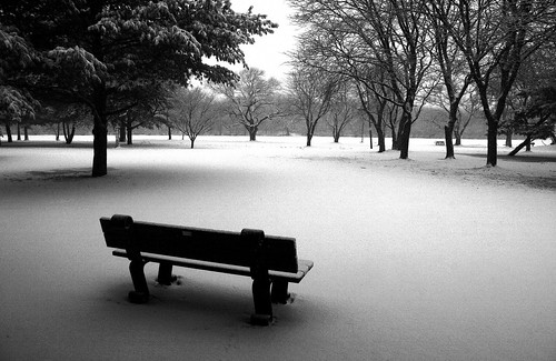 park winter snow topf25 boston mrjackfrost canon bench blackwhite interestingness solitude alone noiretblanc empty explore deserted i500 123bw flickrsbest 3000v120f hbppix p1f1 superaplus aplusphoto 200750plusfaves favemegroup4 favemegroup6 favemegroup10 superfaveme superhearts 236on32107 favemegroup12 theunforgettablepictures artlegacy great123 flickrlovers 100commentgroup artofimages bestcapturesaoi photographyforrecreationeliteclub photographyforrecreationbwclassic