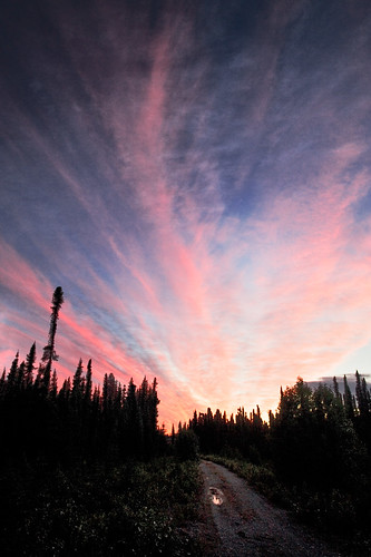 road travel sunset sky home alaska landscape atmosphere boreal soldotna taiga