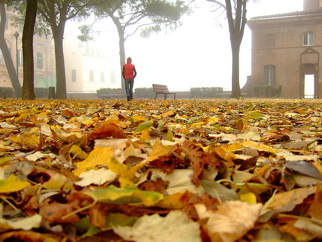 Foggy November morning in Siena from Flickr via Wylio