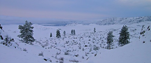 christmas morning winter snow fog landscape wa brewster