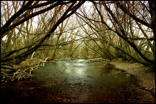 bridge trees water canon river march boise insepsis