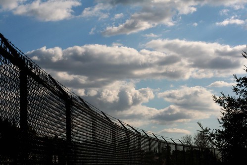 The Fence Around the Cloud Preserve