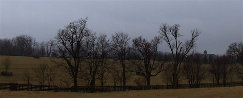 trees winter sky grass clouds stream december kentucky farmland bushes i64west