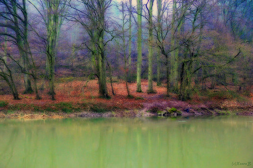 wood trees red green nature water forest river germany landscape geotagged xenonb soe homeland orton niedersachsen werra naturesfinest abigfave geo:lat=51408044 geo:lon=9693605