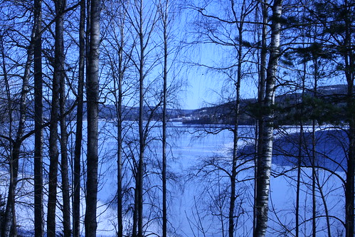 norway landscape 2007 jannik dfds norfjell