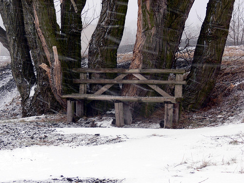 trees winter snow bench panasonic dmcfz30
