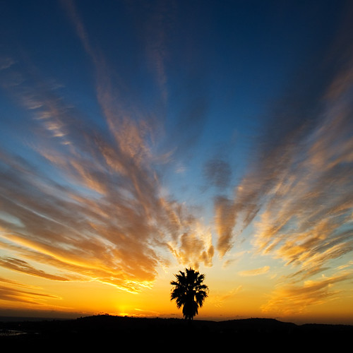 california sunset santabarbara clouds nikon palm d200 mesa montecito 2007 brooksinstitute