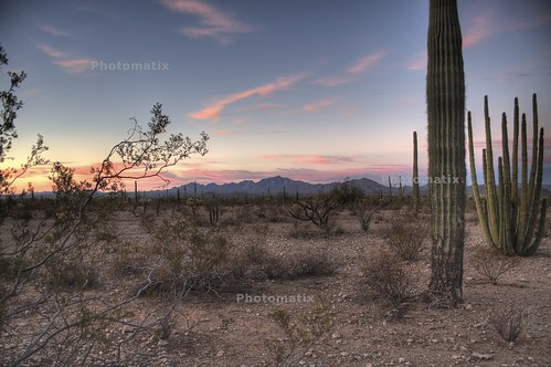 arizona sunrise desert az day5 springbreak07