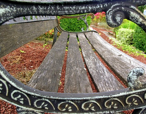 stilllife oregon olympus framing decay garden bench wood wow favorite seating geotagged geolat45414381 geolon122803605 topv111 1025fav c8080 mostinteresting interestingness