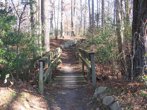 uploadedbyluca greenvillenc bridge woods trees