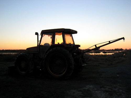 sunset tractor farming farmequipment caseih5220