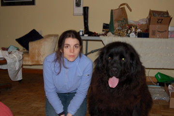 Newfoundland Dog Size Comparison