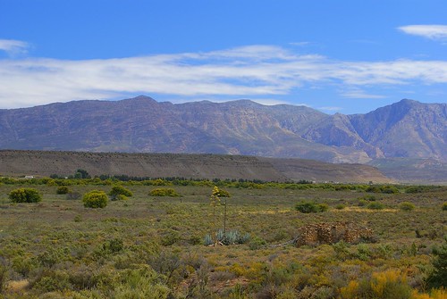 mountain beautiful landscape southafrica karoo route62