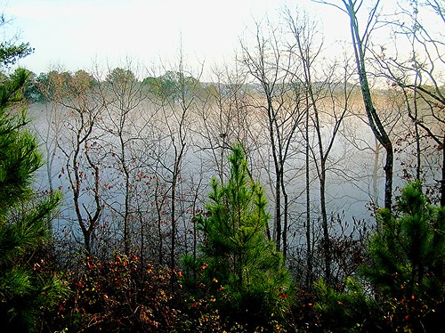 trees fog sunrise georgia woodstock noondaycreek