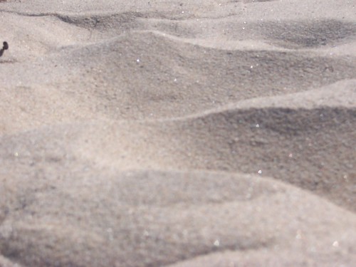 beach scale sand michigan whitesands dunes upnorth lakehuron thunderbay ossineke alpenacounty