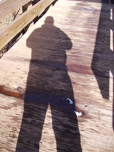 shadow selfportrait pa cranberry