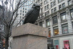 NYC - Herald Square: Owl