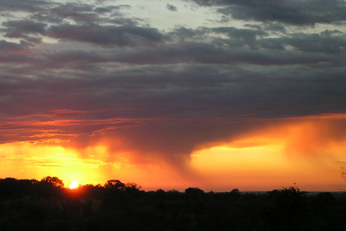 africa rain clouds sunrise landscape southafrica dawn krugernationalpark kruger