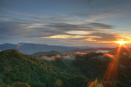 sun sunrise geotagged asia southeastasia jungle malaysia cameronhighlands hdr pahang gunungbrinchang geo:lat=4516667 geo:lon=101383333 felixhaller funnyfelix