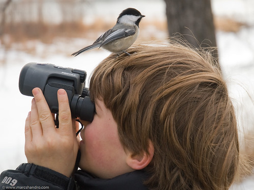 boy bird nature look kids see search funny head watch watching binoculars chickadee perch land find bold gettyimages blueribbonwinner cotcmostfavorited boldness instantfave outstandingshots abigfave anawesomeshot