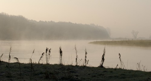 morning nature fog river germany landscape day nebel natur fluss landschaft morgen verden gegenlicht niedersachsen lowersaxony aller