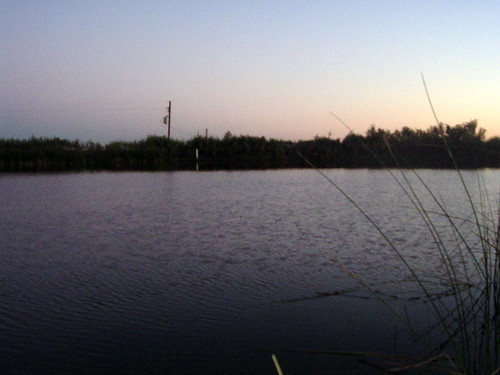 sunset night pond